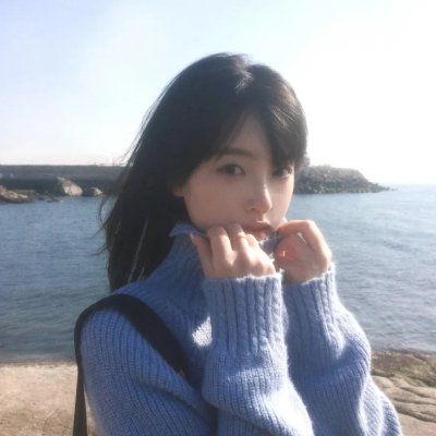 智叻狗仔队